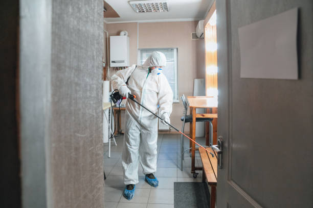  Highland, UT Mold Removal Pros