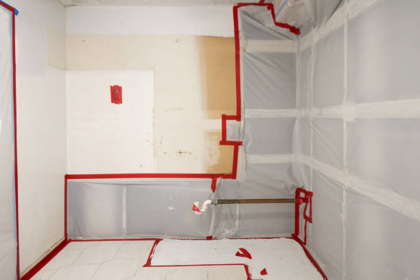 Best Mold Remediation for Rental Properties  in Highland, UT