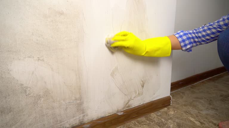 Best Water Damage & Mold Remediation  in Highland, UT