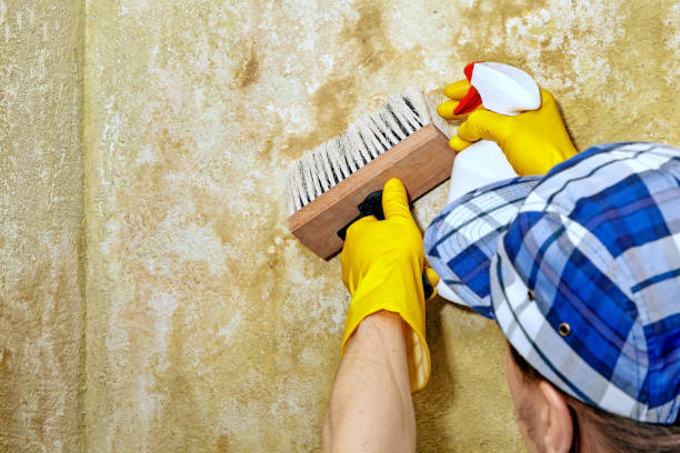 Best Mold Prevention Services  in Highland, UT